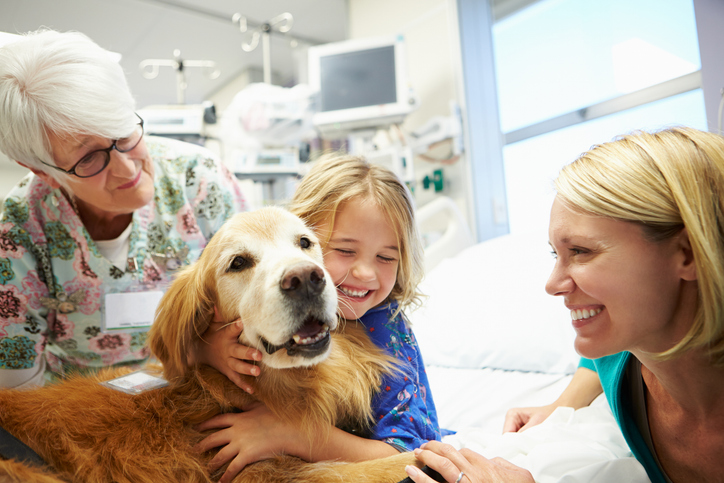 therapy dog in the ER with child parent and provider