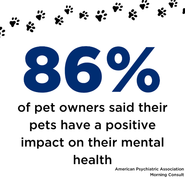 86% of pet owners said their pets have a positive impact on their mental health