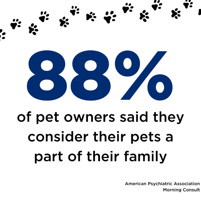 88% of pet owners said they consider their pets a part of their family
