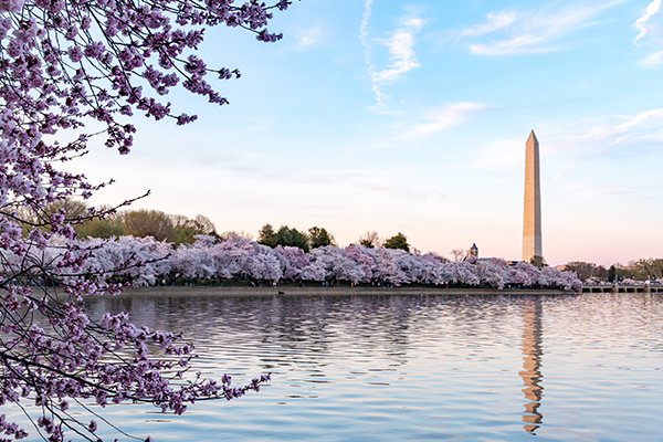 The Washington monument in Washington, DC overlooking the Tidal Basin