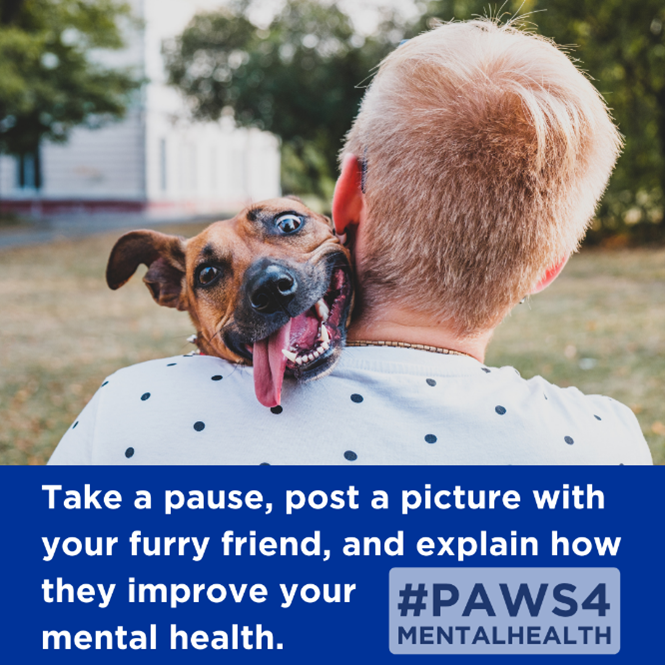 Take a pause, post a picture with your furry friend, and explain how they improve your mental health.  Hashtag: #Paws4MentalHealth
