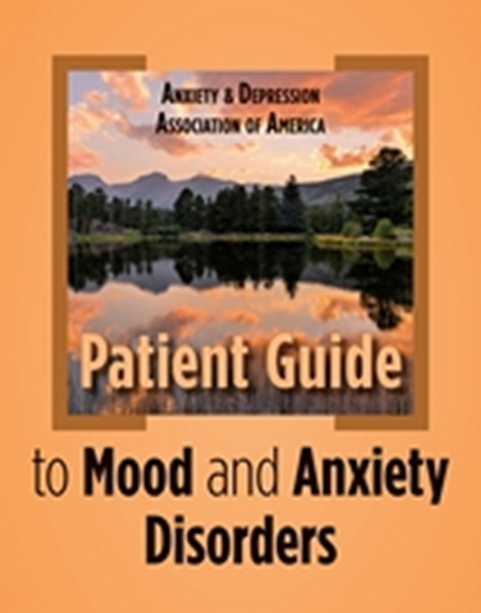 Anxiety and Depression Association of America; Patients Gudie to mood and anxiety disorders