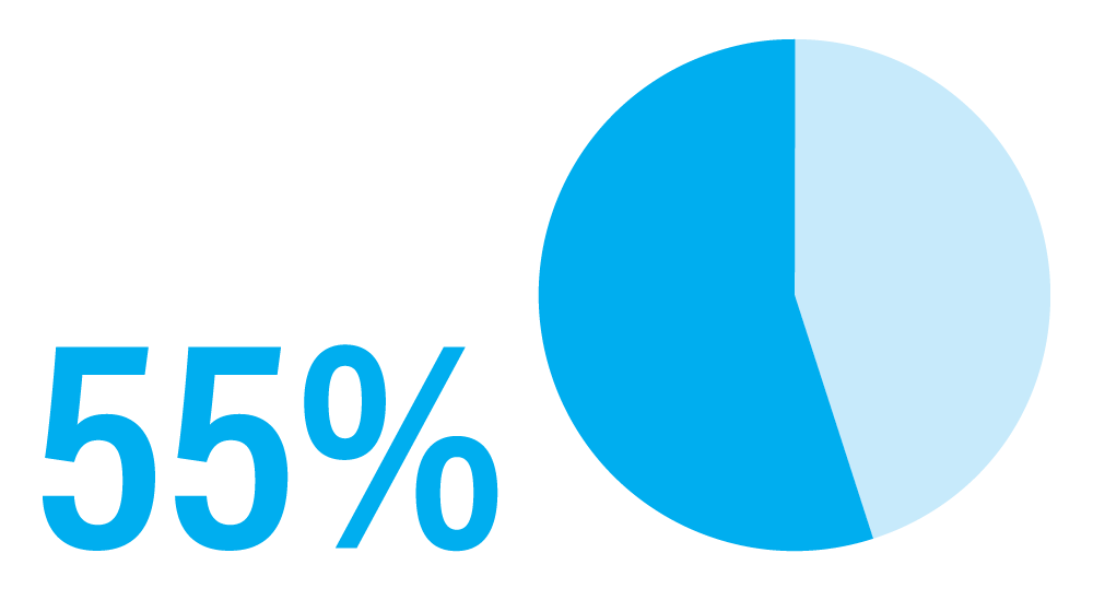 55 Percent with a Pie Chart depiction