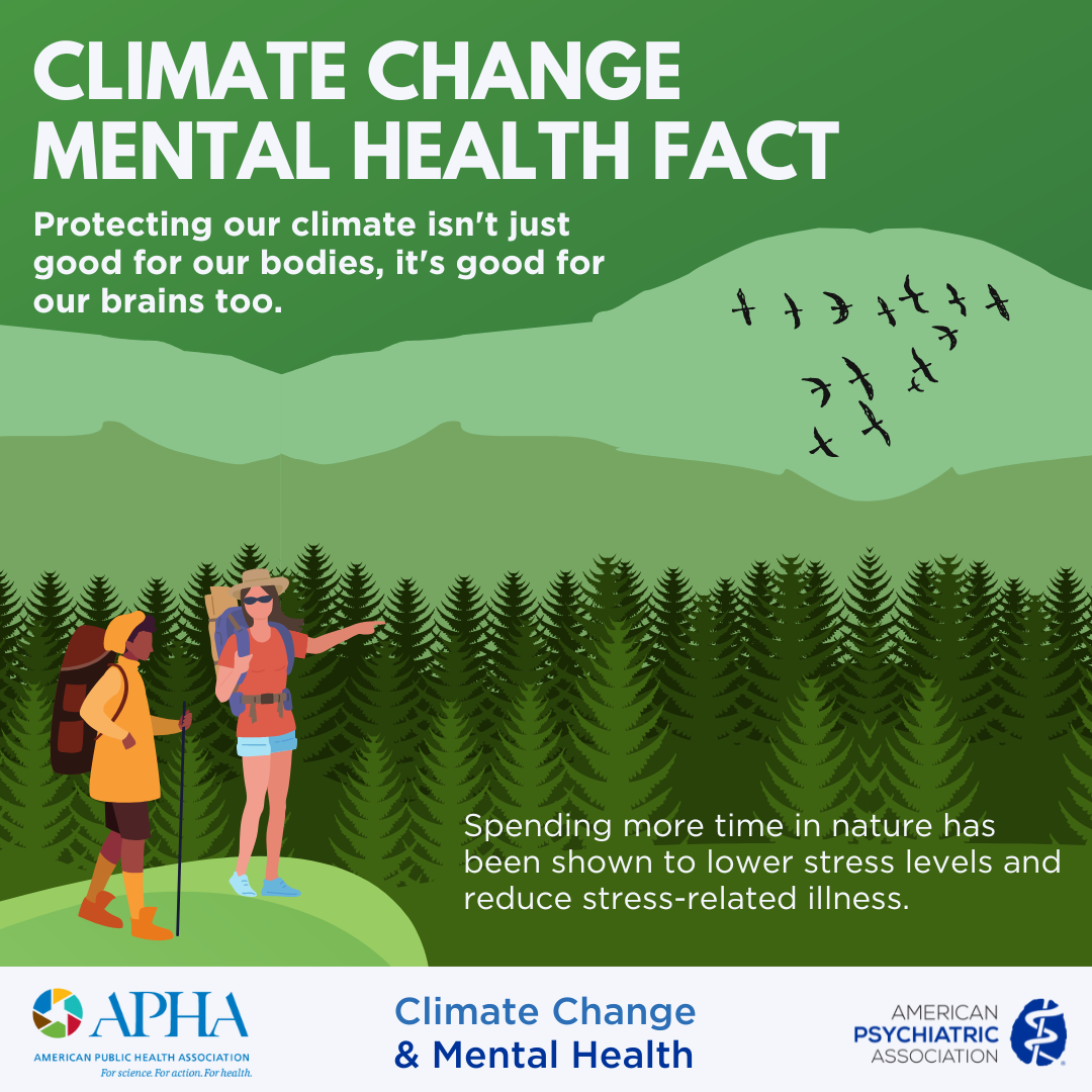 climate change mental health fact: protectin our climate isn't just good for our bodies, it;s goo for our brains too. Spending more time in nature has been shown to lower stress levels and reduce stress-related illness
