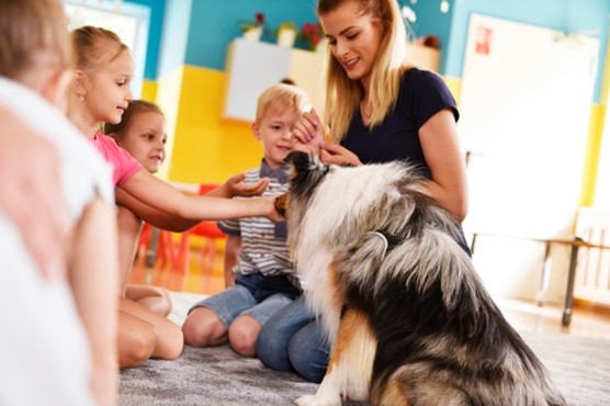 therapy dog in a classroom