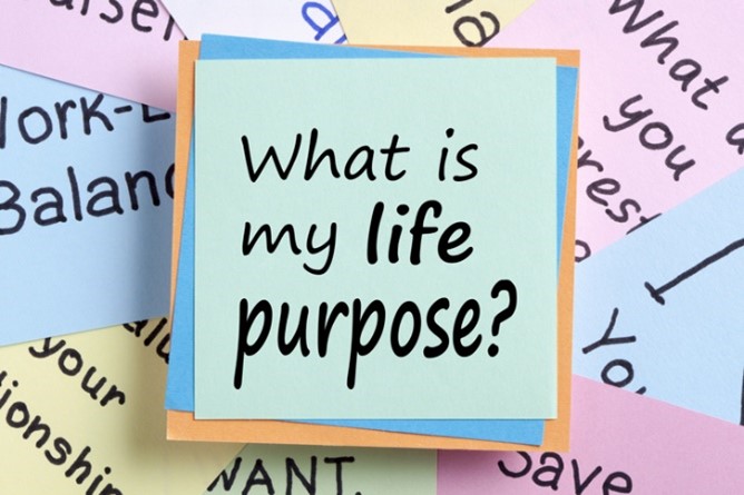 What Is the Purpose of Life?