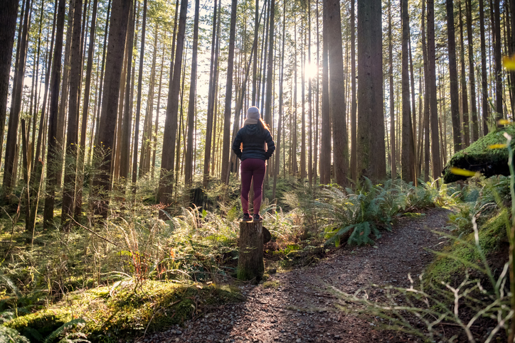 girl walking in the forest