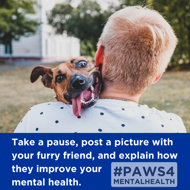 Take a pause, post a picture with your furry friend, and explain how they improve your mental health. Hashtag: #Paws4MentalHealth